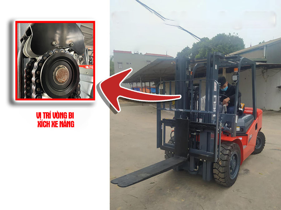 Vị trí vòng bi xích xe nâng 50x141x46H